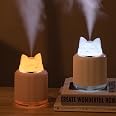 Mini Humidifier-Cute Cat Mist Humidifier for Kids Bedroom, Small Ultrasonic humidifier for Home Car Office with USB 2 LED Colors, Waterless Auto Shutoff, Quiet 300ml